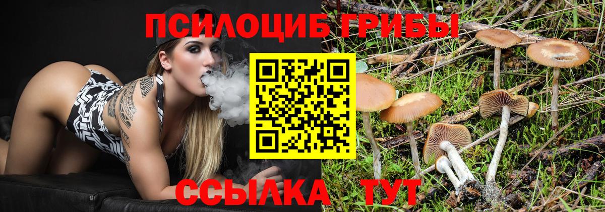 Галлюциногенные грибы GOLDEN TEACHER  Псилоцибиновые грибы ЛСД  Вход с VPN  Лесозаводск 